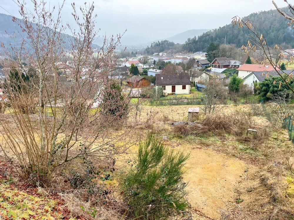 Vente Terrain Terrain constructible avec vue panoramique Saint-nabord
