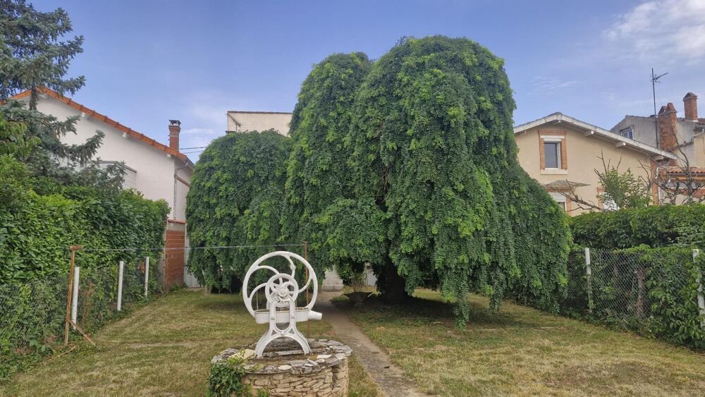 Maison de ville non mitoyenne avec terrain