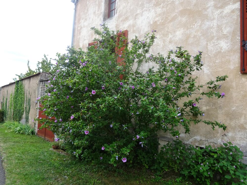 Maison 6 pièces 100 m² · à Sampigny-les-Maranges · 100 m² · 98 000 €
