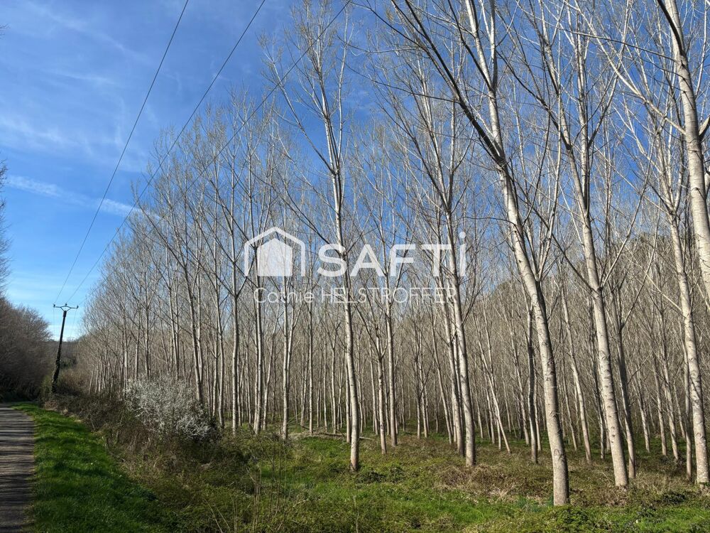 Vente Terrain Opportunité de revenus Villefranche-du-perigord