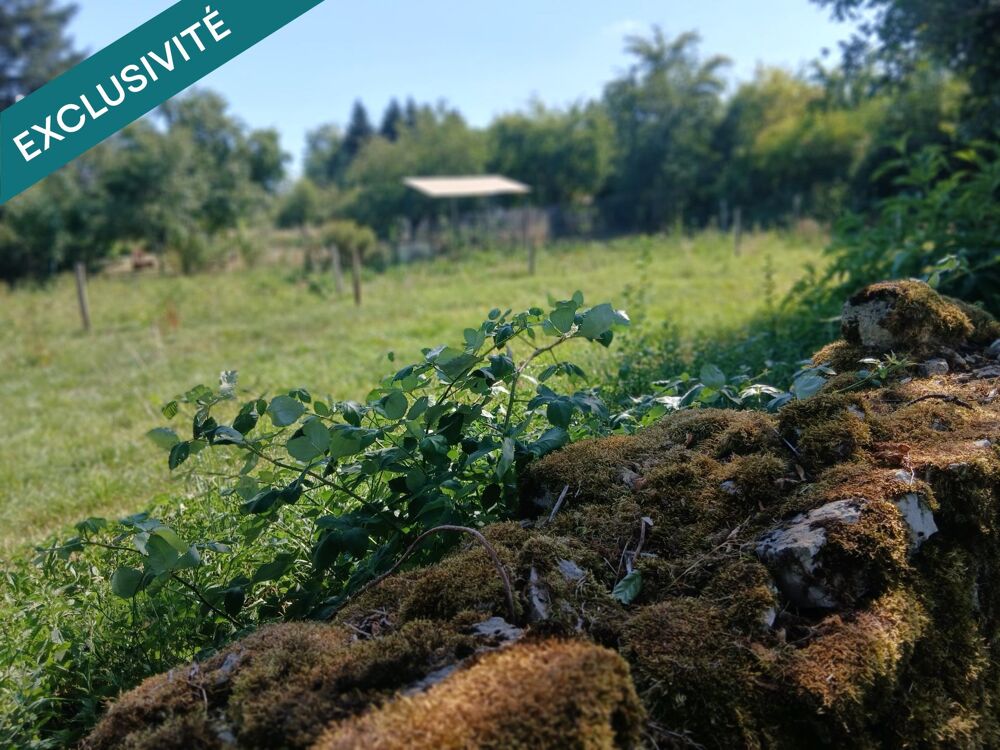 Vente Terrain Terrain de loisir au calme Montecheroux