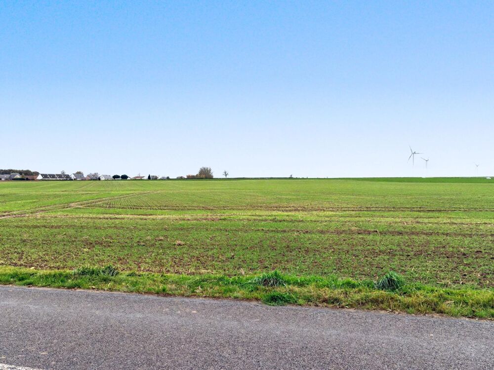 Vente Terrain Terrain � b�tir de 970 m carr�s dans un secteur pris� Heuringhem