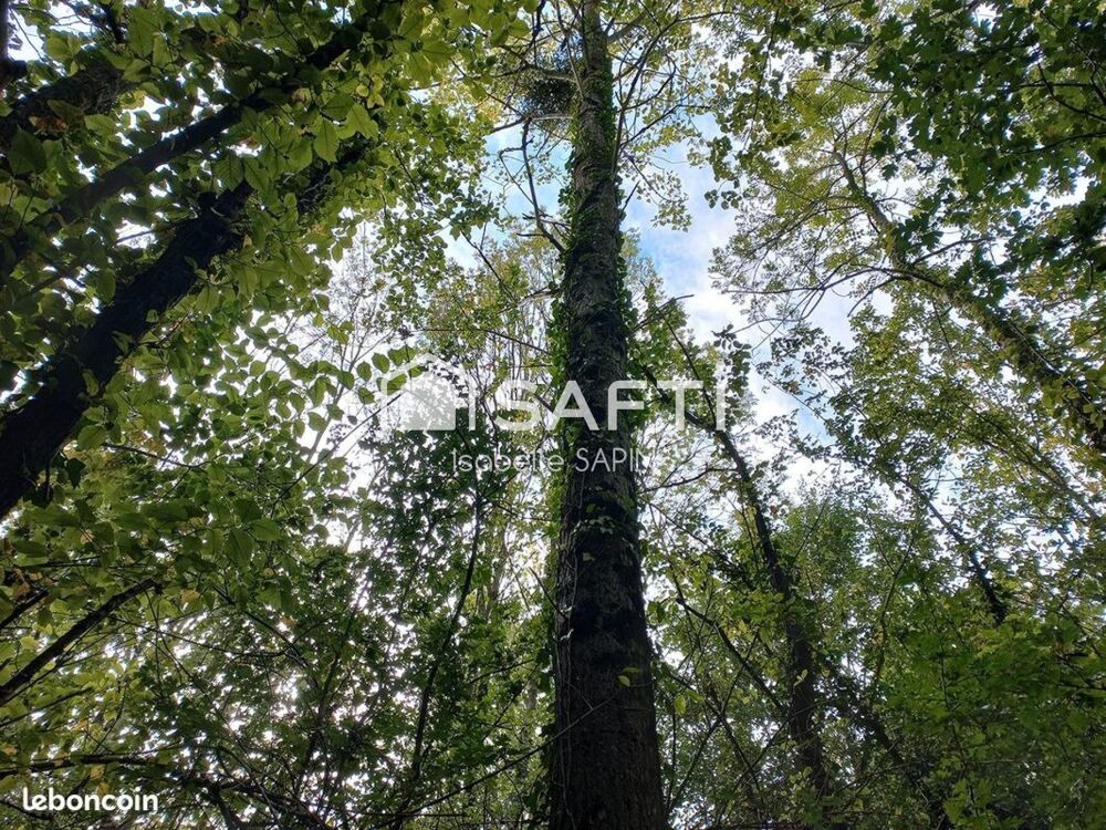 Vente Terrain Bois à proximité du plan d'eau de Jaunay-Clan Jaunay marigny