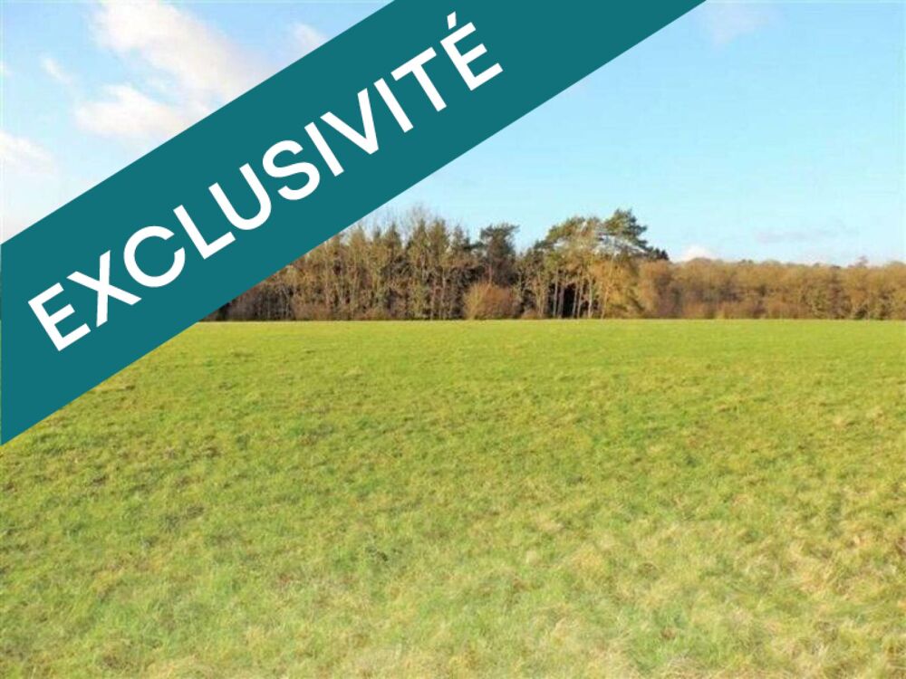 Vente Terrain terrain constructible Gemozac