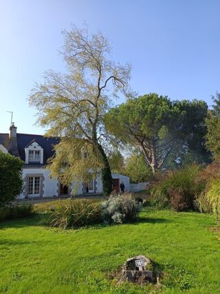  Maison à vendre 7 pièces 110 m²