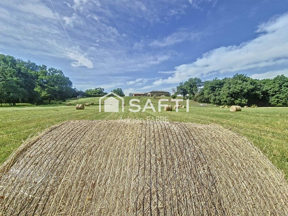 à vendre  Propriété/château Toulouse (31000)