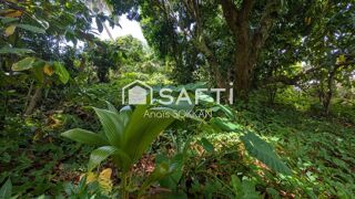  Terrain � vendre 2006 m�