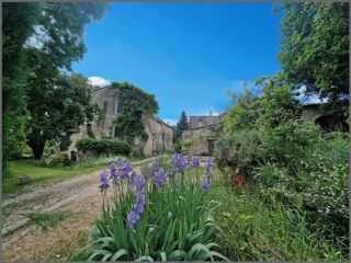  Maison à vendre 15 + pièces 800 m²