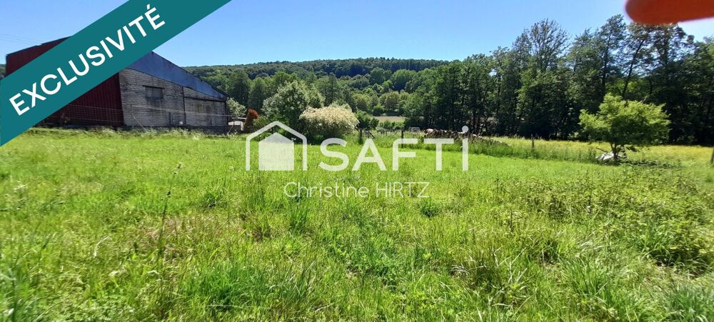 Vente Terrain TERRAIN CONSTRUCTIBLE ET VIABILISÉ Lembach