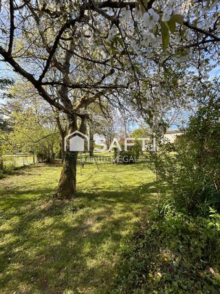  Maison à vendre 15 + pièces 450 m²