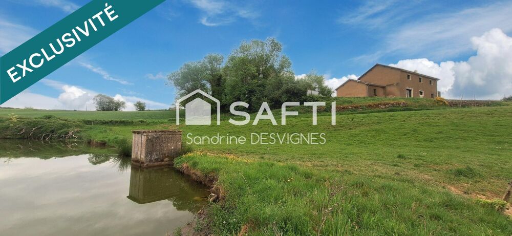 Vente Maison Maison en pierre rénovée à neuf avec étang Montmort