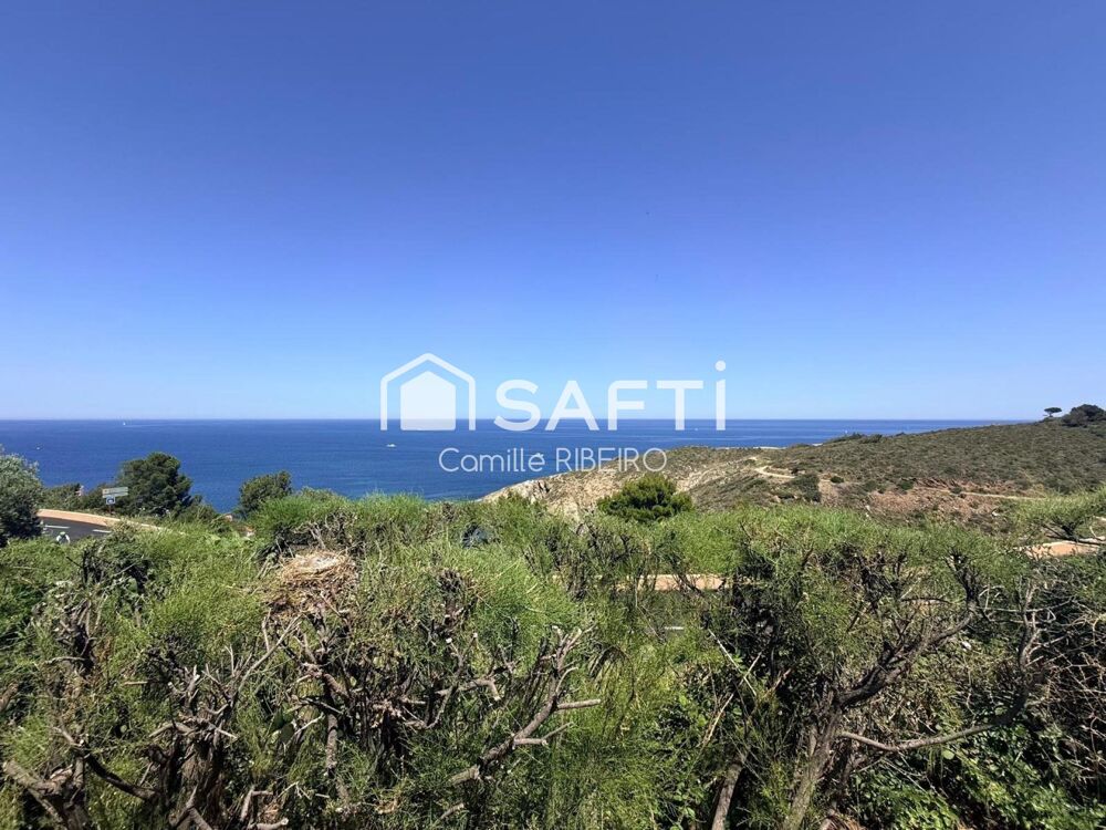 Vente Appartement BANYULS-SUR-MER,APPT T3, RENOVE AVEC TERASSE ,VUE MER ET ACCES THALASSO Banyuls-sur-mer