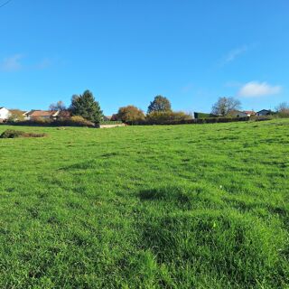  Terrain à vendre 12975 m²
