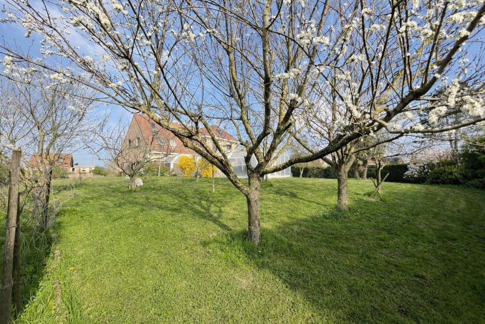 Vente Maison Élégance, nature et art de vivre – Busnes Busnes