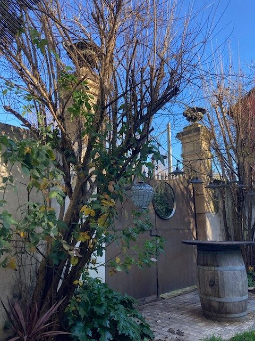 � vendre  Maison La Roque-d'Anth�ron (13640)