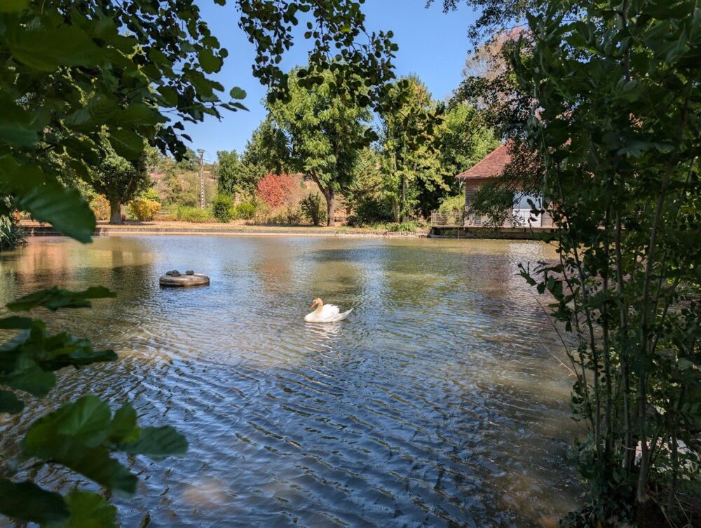 Vente Maison Ancien moulin avec parc, étang et piscine La clayette