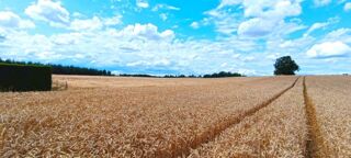  Terrain � vendre 12138 m�