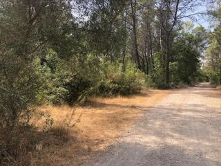  Terrain à vendre 10000 m²