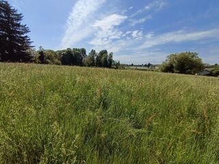  Terrain à vendre 1950 m²