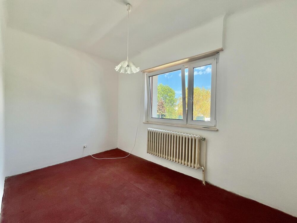 Vente Maison FAULQUEMONT – Maison de plain-pied sur sous sol complet, cadre verdoyant et 76 ares de propriété Faulquemont