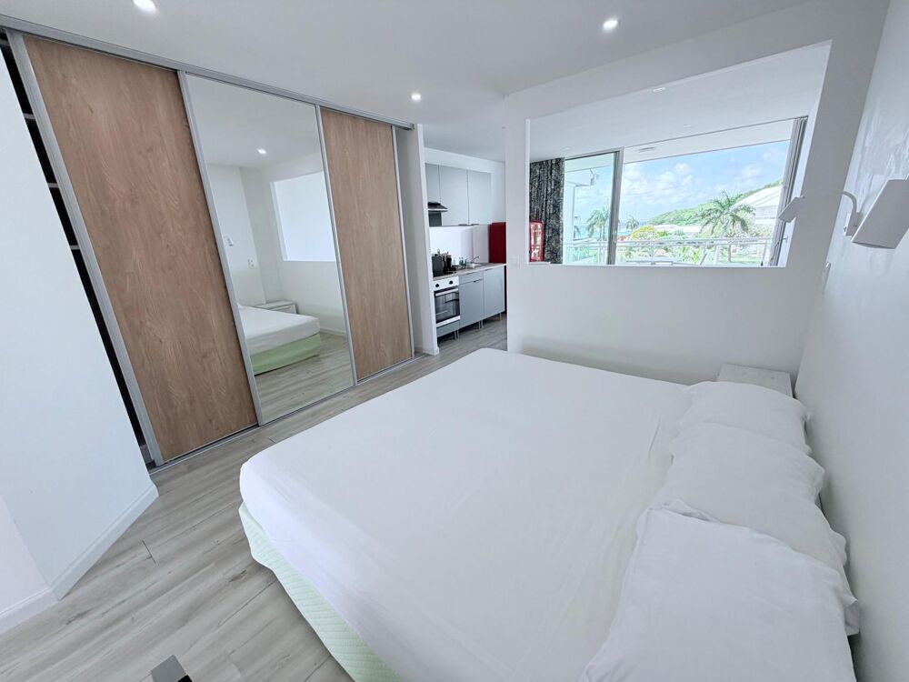 Vente Appartement Studio à Anse Marcel Saint-martin