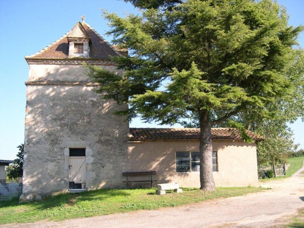 Vente Maison Domaine exceptionnel à 1 heure de Toulouse - 8 bâtiments et dépendances - vue sur les pyrénées Valence