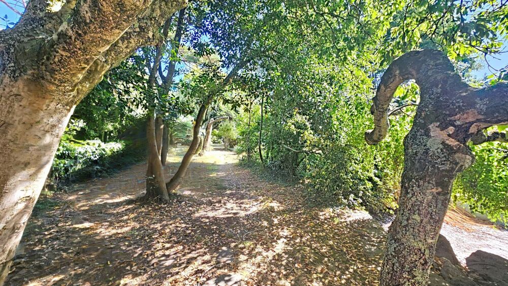 Vente Maison Accès mer au bout de la venelle, proche centre Piriac-sur-mer