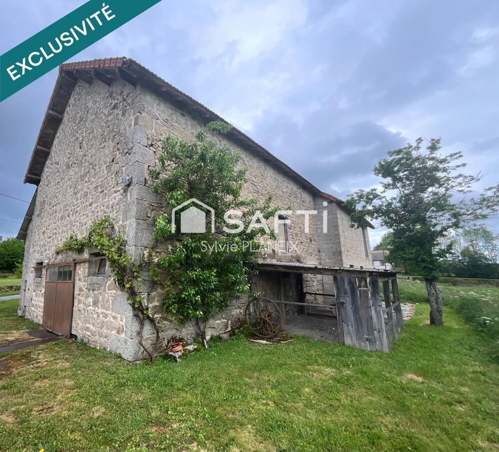 Vente Immeuble Magnifique ensemble immobilier avec grange, cave, étable, atelier, terrain agricole à Flayat ! Flayat