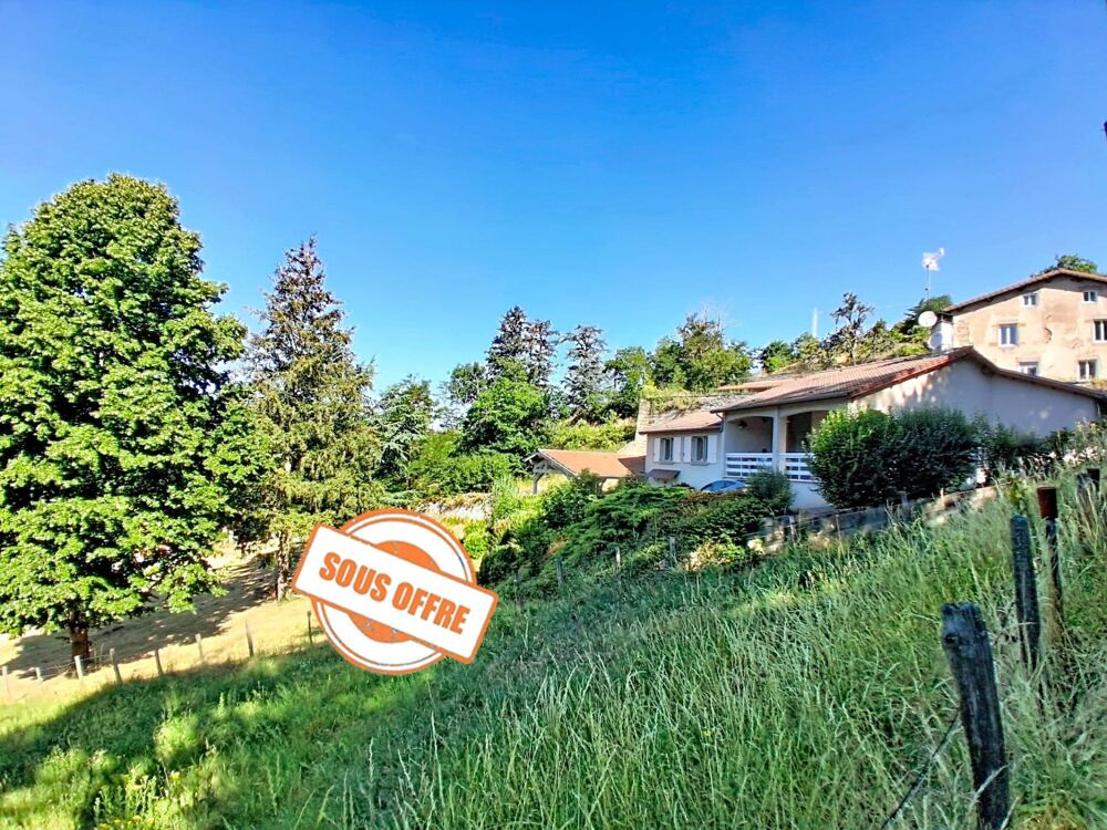 Maison individuelle grand terrain