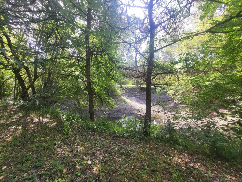Vente Terrain Terrain de loisir, ^proche du cher avec une retenue d'eau, entierement clos, propice au calme a la verdure Montrichard val de cher