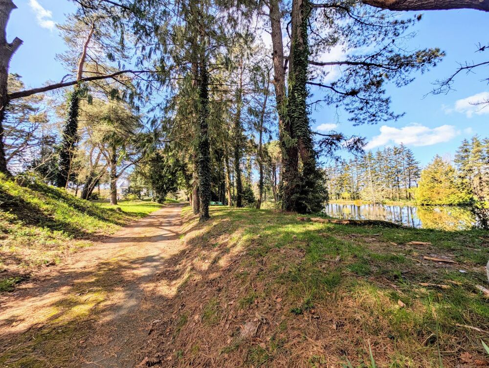 Vente Maison Parc Naturel de la Brière, Maison sur 2,5 hectares, forêt, étang, prairies Pontchateau