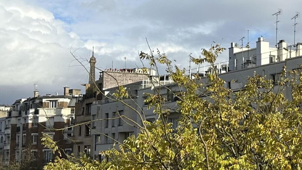 Vente Appartement Sectorisé Jean-Baptiste Say – Familial lumineux Paris 16
