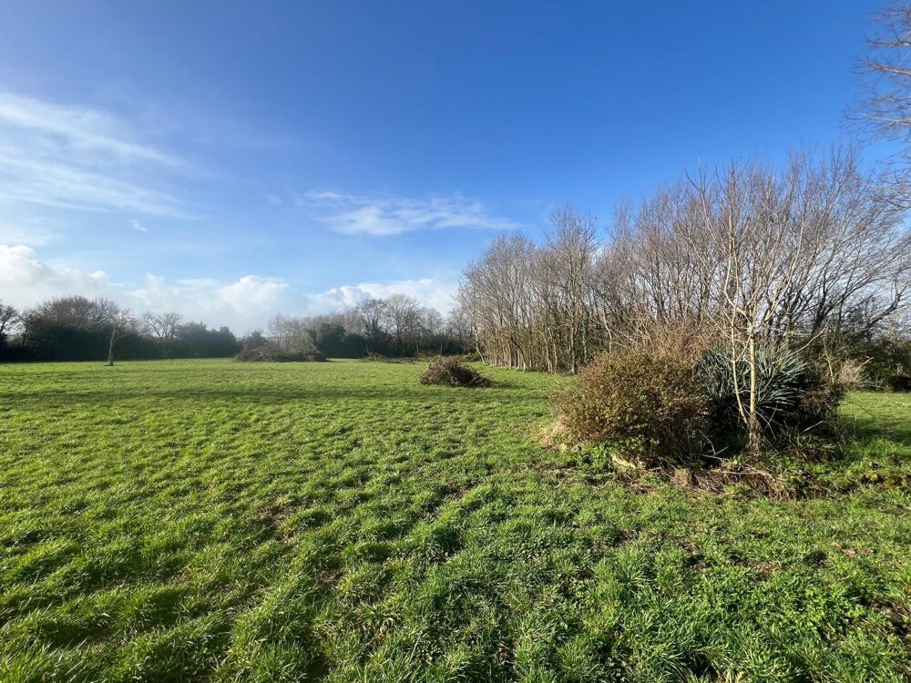 Vente Terrain Terrain constructible de 3741 m2 Nachamps
