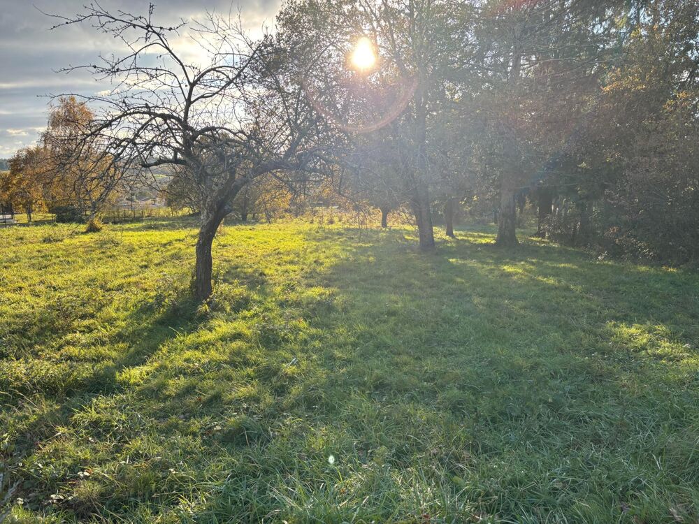 Vente Terrain Environnement calme Rosieres