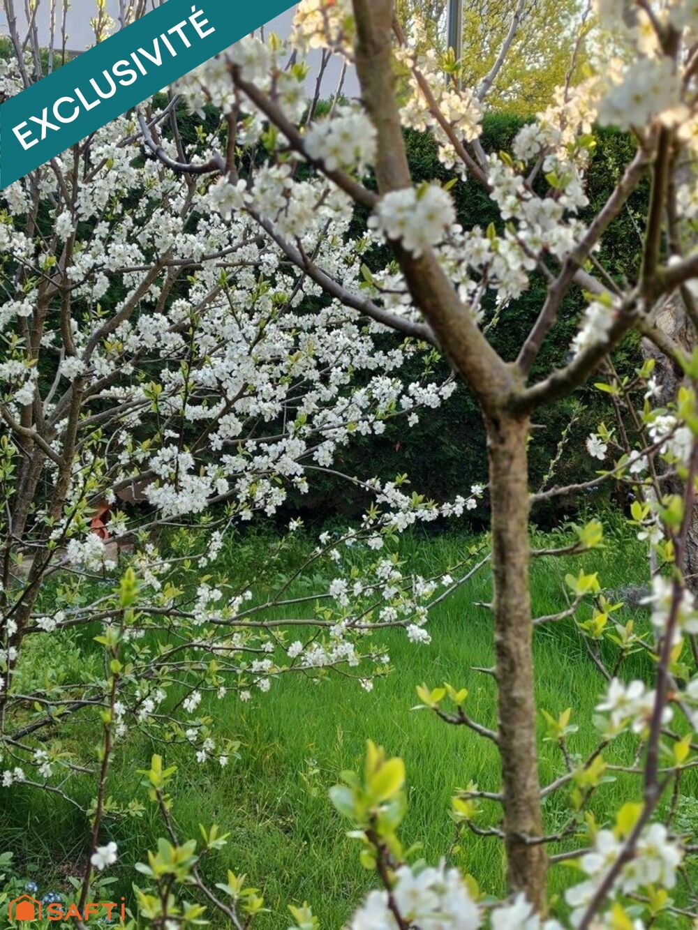 � vendre  Maison Bourg-la-Reine (92340)