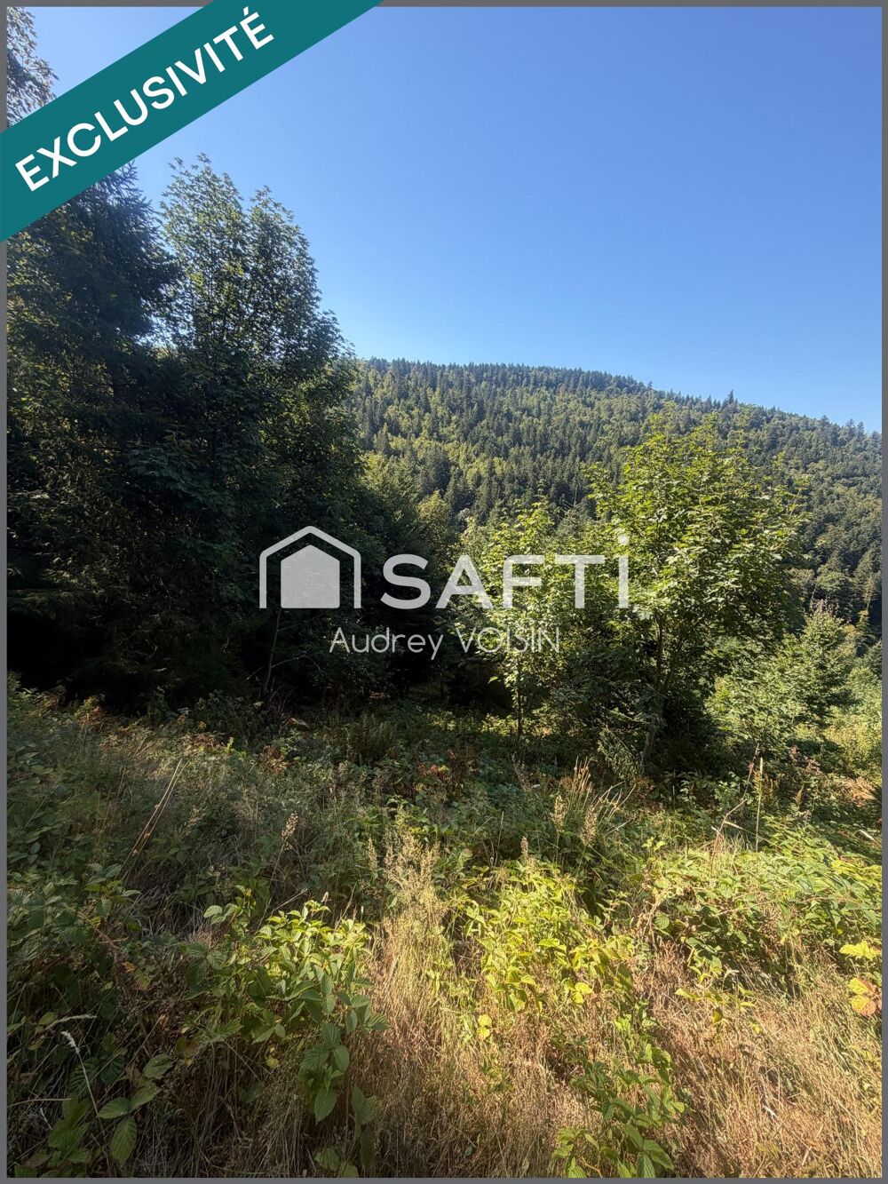 Vente Terrain EN EXCLUSIVITE UNE BELLE FORÊT DE PLUS DE 3 HECTARES Le menil