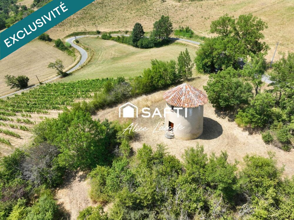 Moulin, vignes et vue Pyrénées à 360°