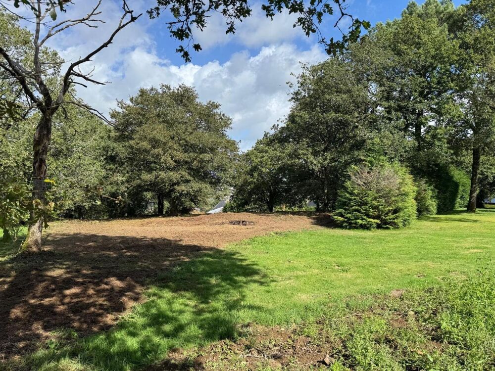 Vente Terrain Terrain rare et plein de charme, au cœur d'un environnement verdoyant et préservé. Offrant une belle surface dégagée Monterblanc