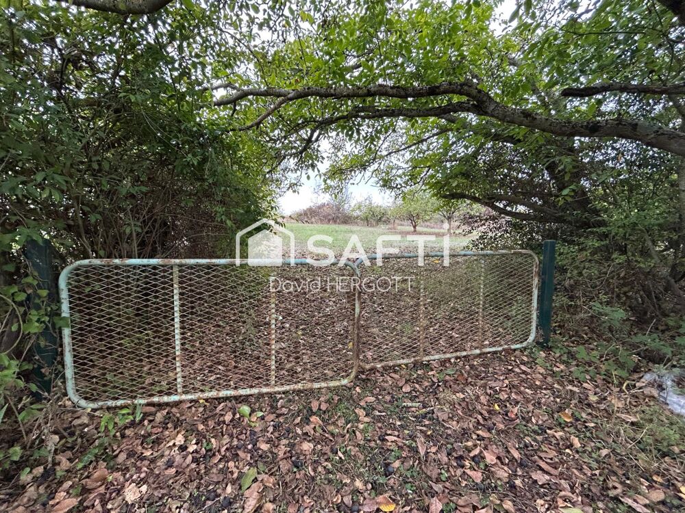 Vente Terrain Terrain à bâtir de 991 m² à Mer (41500) Mer