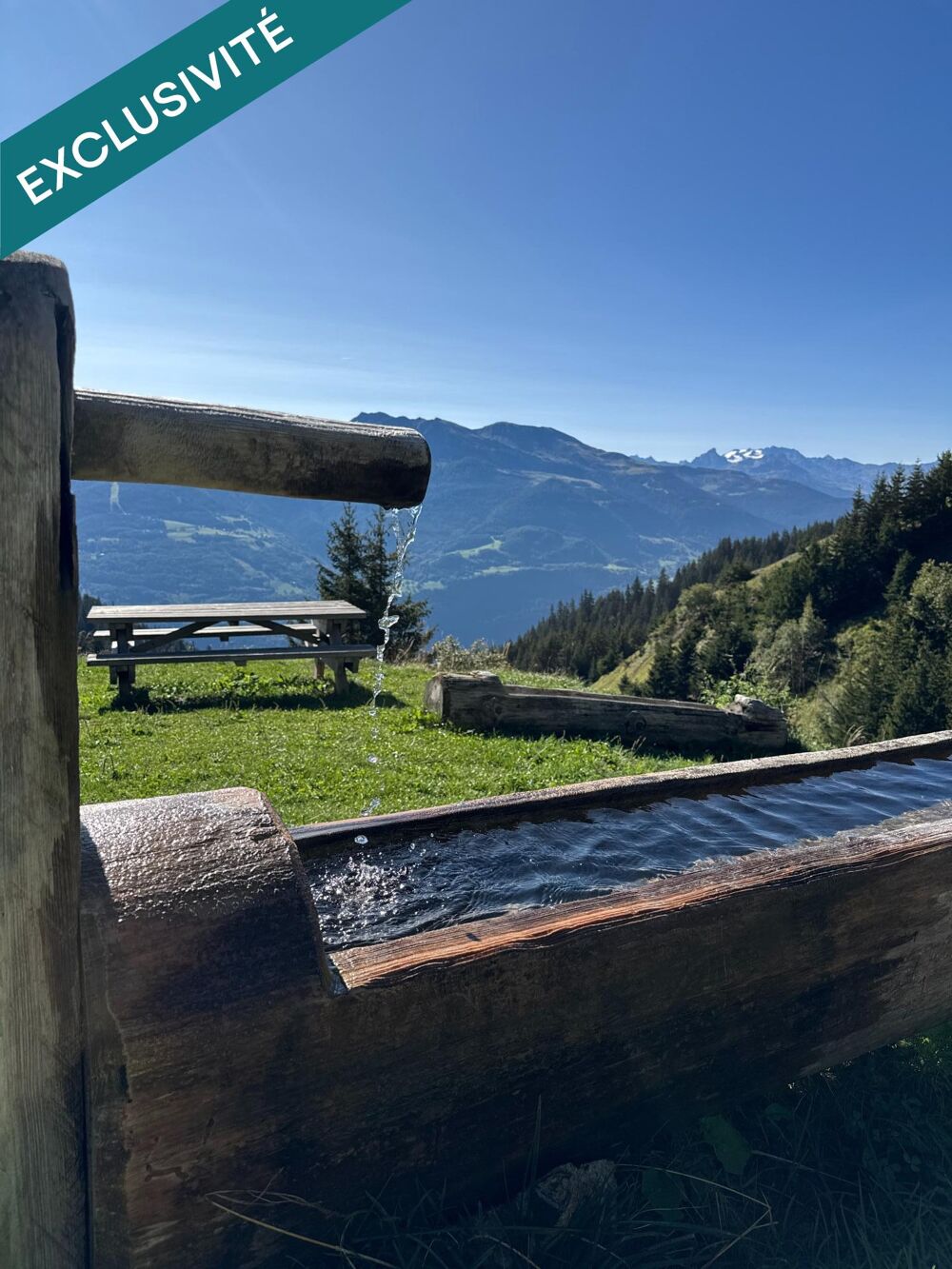 Magnifique Chalet d'Alpage rénové 96 m2 surface totale