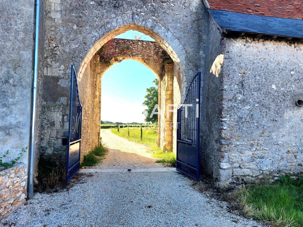 à vendre  Propriété/château Courçay (37310)
