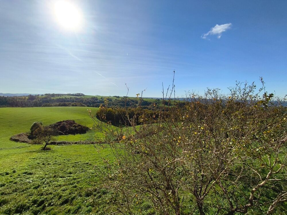 Vente Maison Grande maison familiale compos�e de 2 logements Conques-en-rouergue