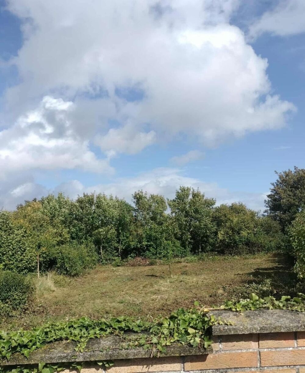 Vente Terrain Superbe terrain constructible de plus de 800 m2 Landrethun-les-ardres