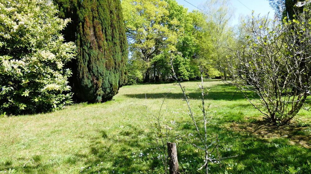 Vente Maison TREILLIERES - PARC ABORE AVEC ARBRES CENTENAIRES - Treillieres
