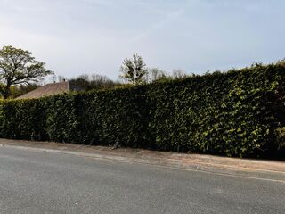  Terrain à vendre 810 m²