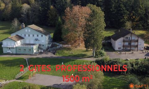 Ensemble de 2 gites de 1500m² pour professionnels du ... 950000 88490 Combrimont