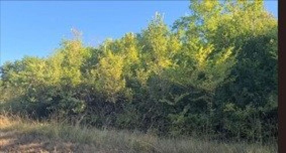 Vente Terrain Lot de 7 parcelles en zone naturelle Labastide-du-vert