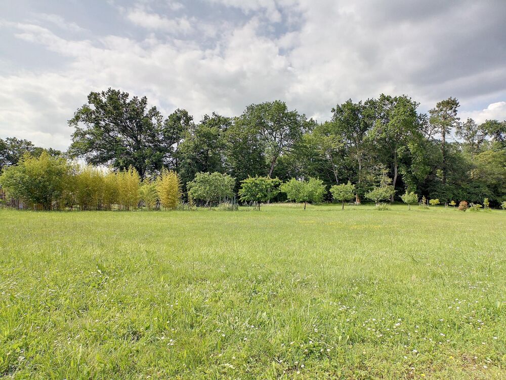 Vente Terrain Terrain constructible viabilisé Fargues-saint-hilaire