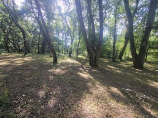  Terrain à vendre 12500 m²