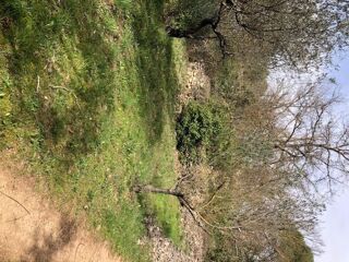  Terrain � vendre 4200 m�